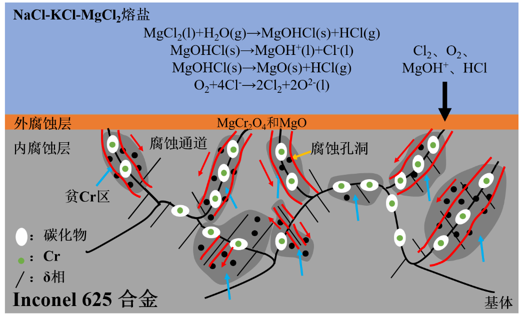 E24030E68A2119428AA95415FC9_73A1323F_11072 E24030E68A2119428AA95415FC9_73A1323F_11072